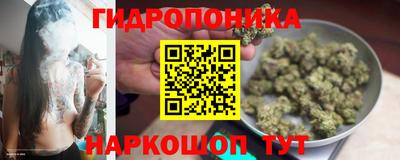 мдпв Шелехов