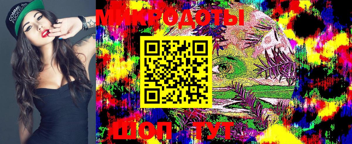 Псилоцибиновые грибы мицелий Конаково